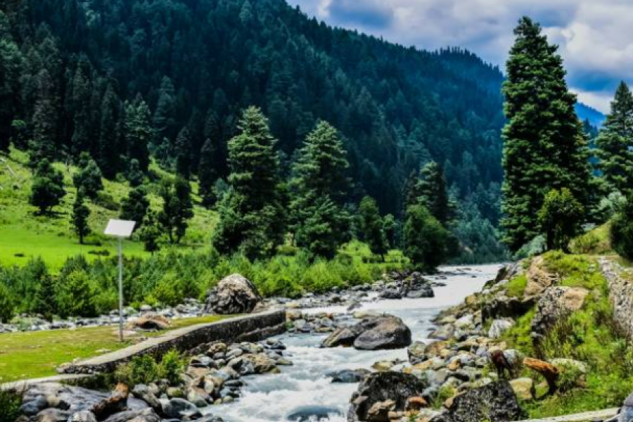 Luxury Kashmir Retreat