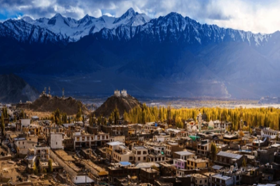 Leh and Nubra Valley Adventure