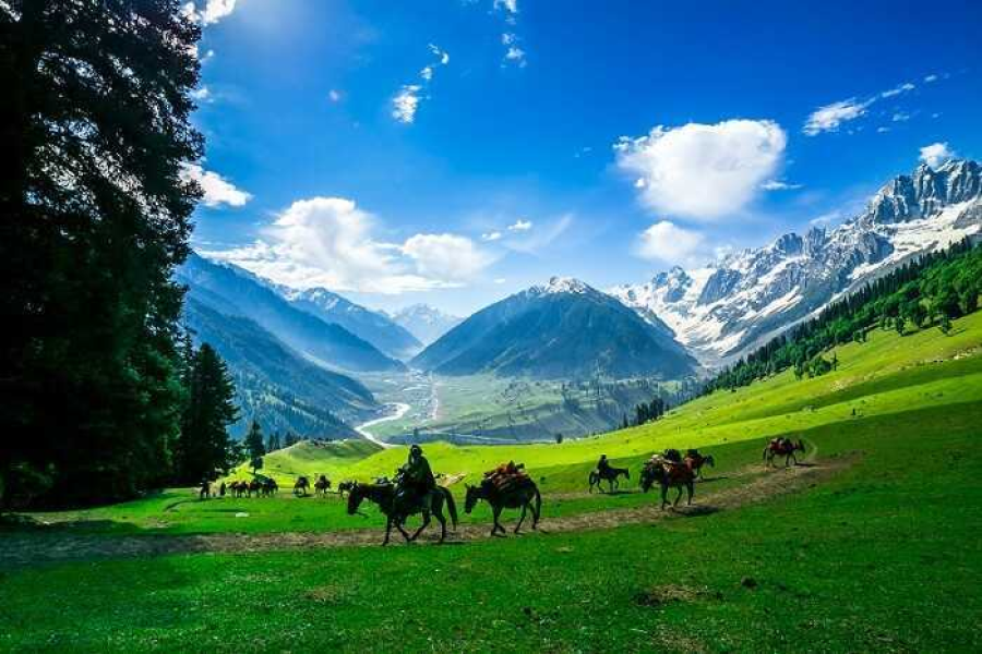 Scenic Kashmir Delight