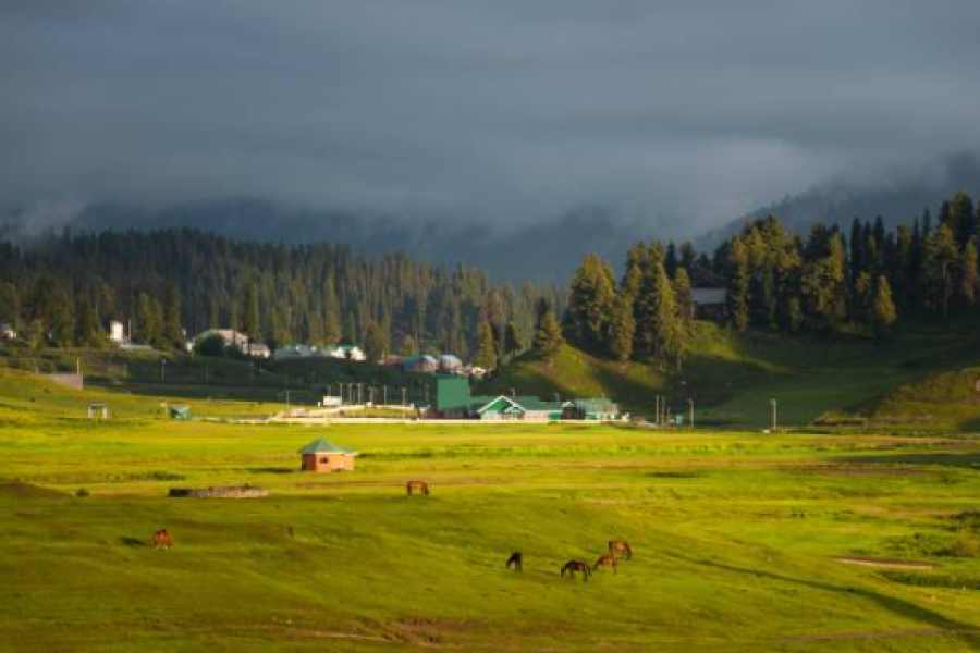 Winter Wonderland Kashmir