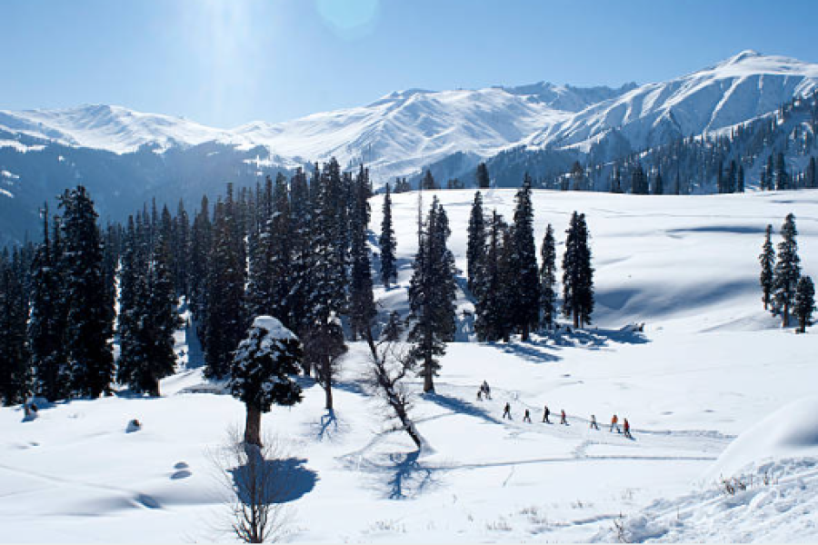 Winter Wonderland Kashmir