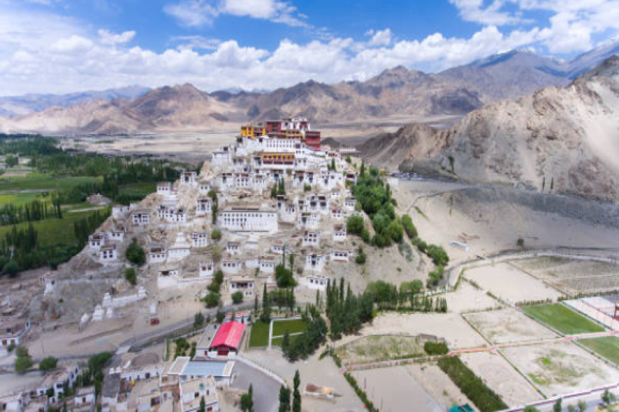 Ladakh Wildlife Tour