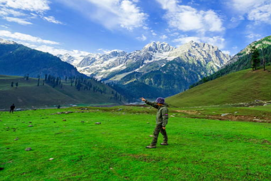 Winter Wonderland Kashmir