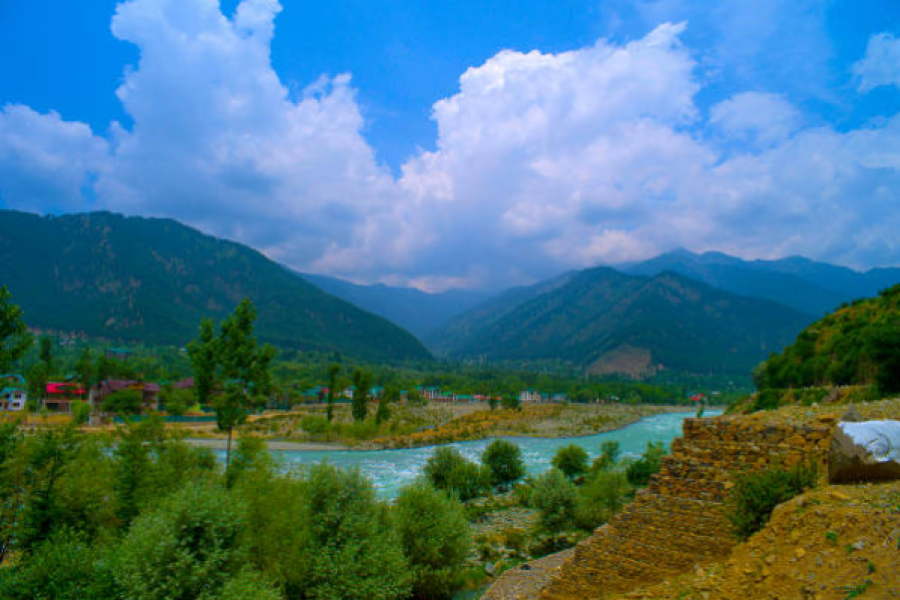 Scenic Kashmir Delight