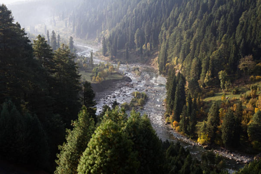 Winter Wonderland Kashmir