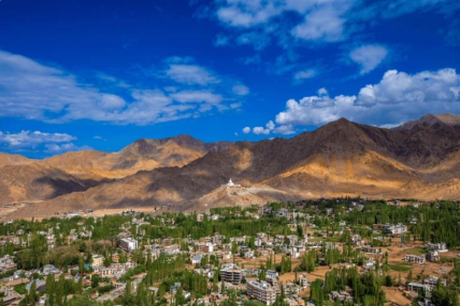 Cultural Ladakh Experience