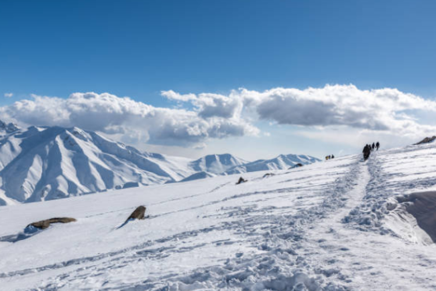 Scenic Kashmir Delight