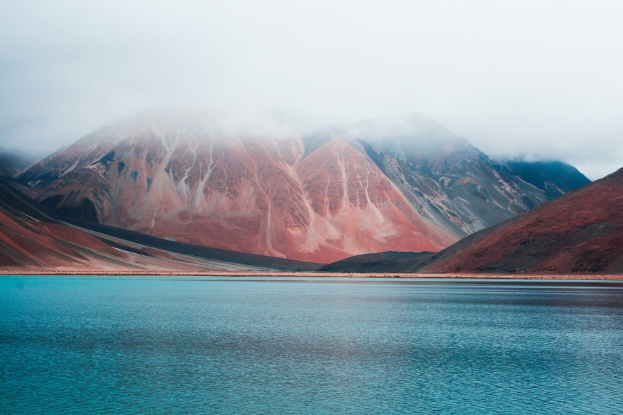 Cultural Ladakh Experience