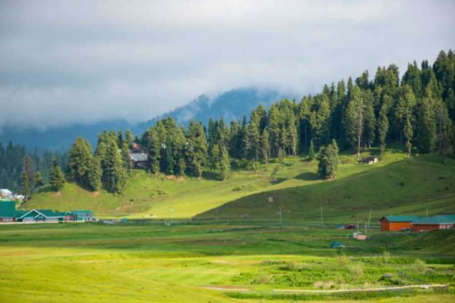 Winter Wonderland Kashmir