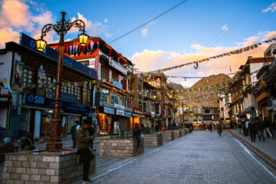 Ladakh Wildlife Tour