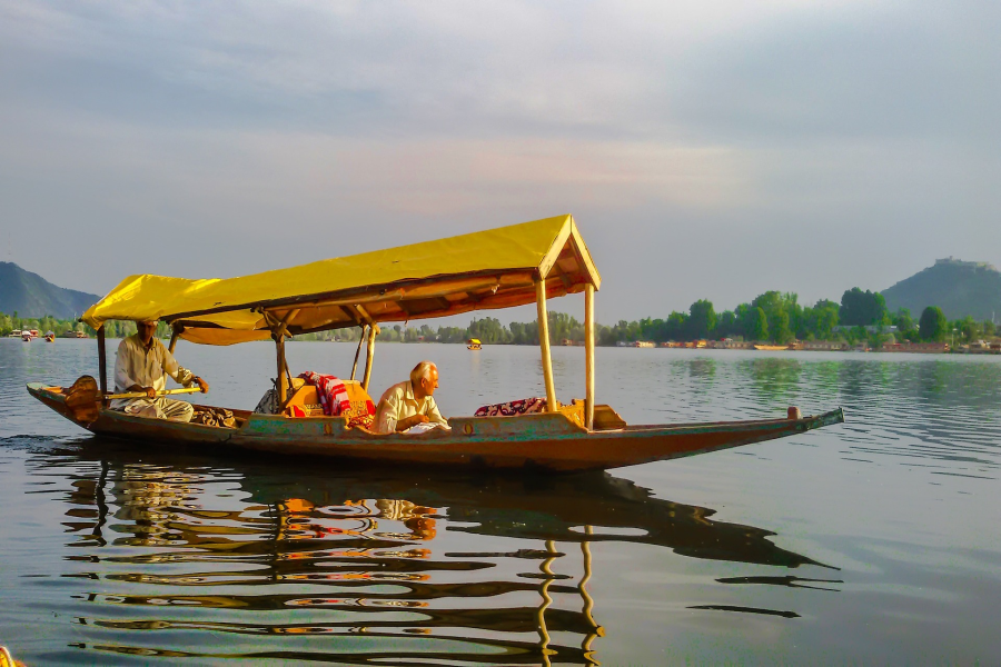 Scenic Kashmir Delight