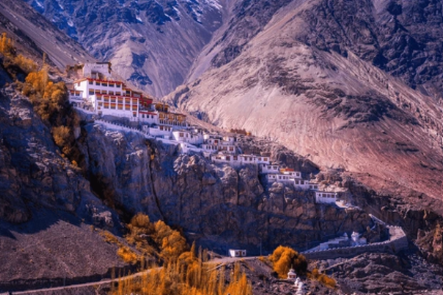 Ladakh Wildlife Tour