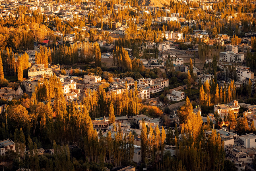 Leh and Nubra Valley Adventure