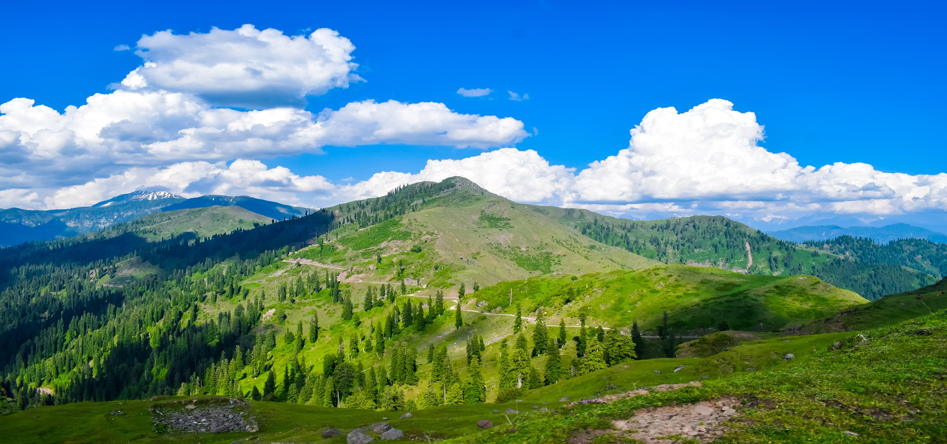 Kashmir Valley Escape, Srinagar