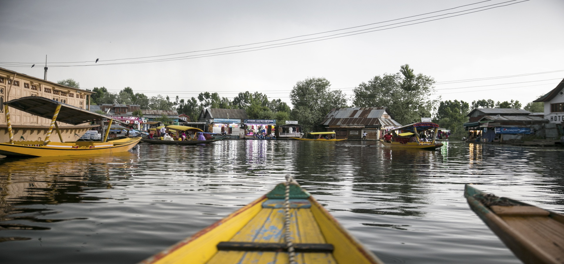 Scenic Kashmir Delight