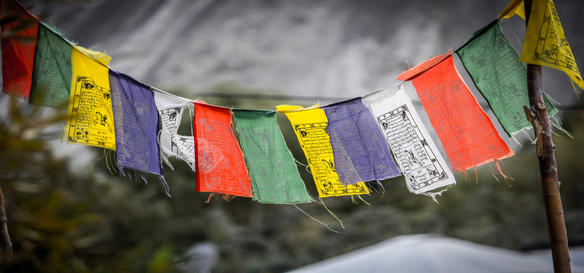 Ladakh Scenic Drive