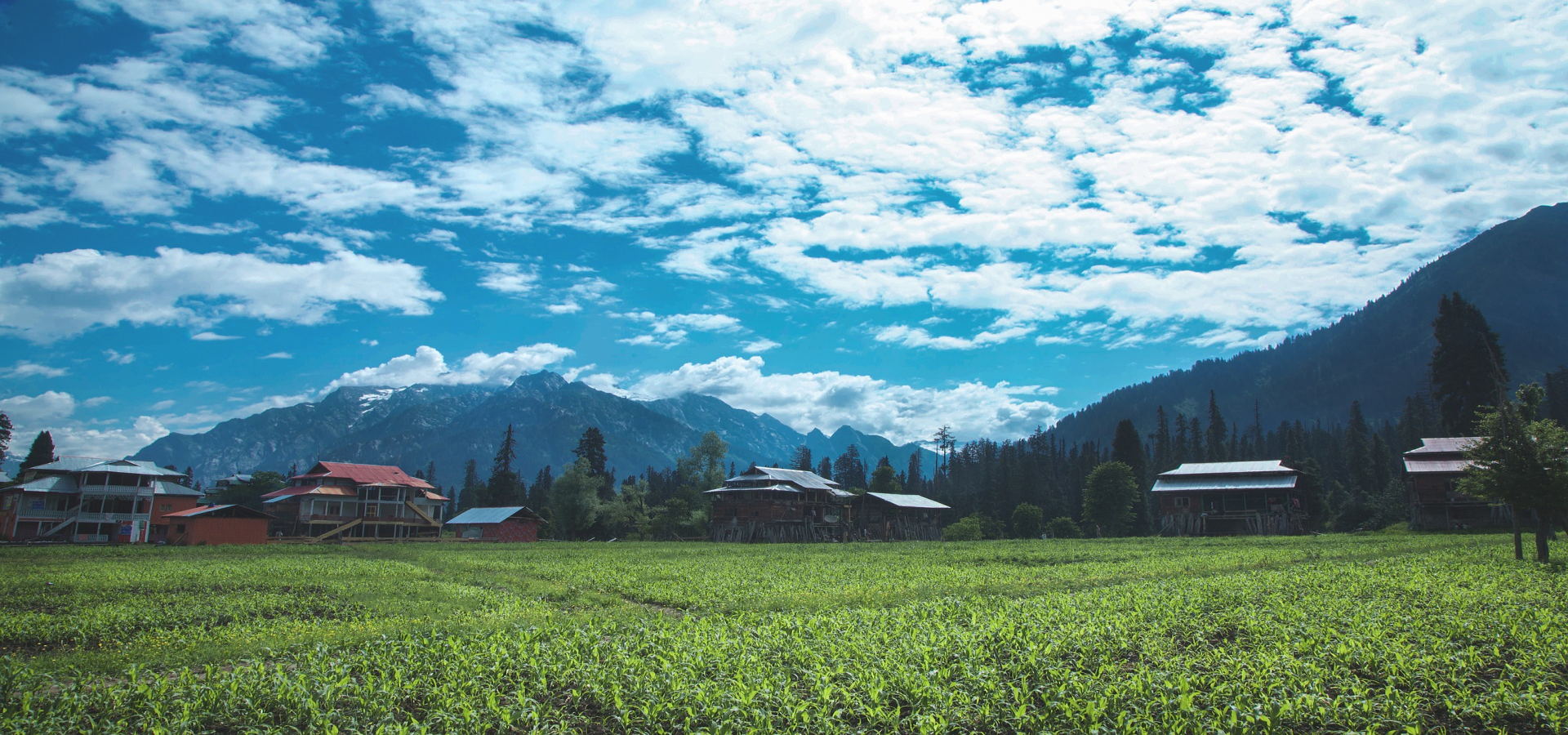 Kashmir Valley Escape