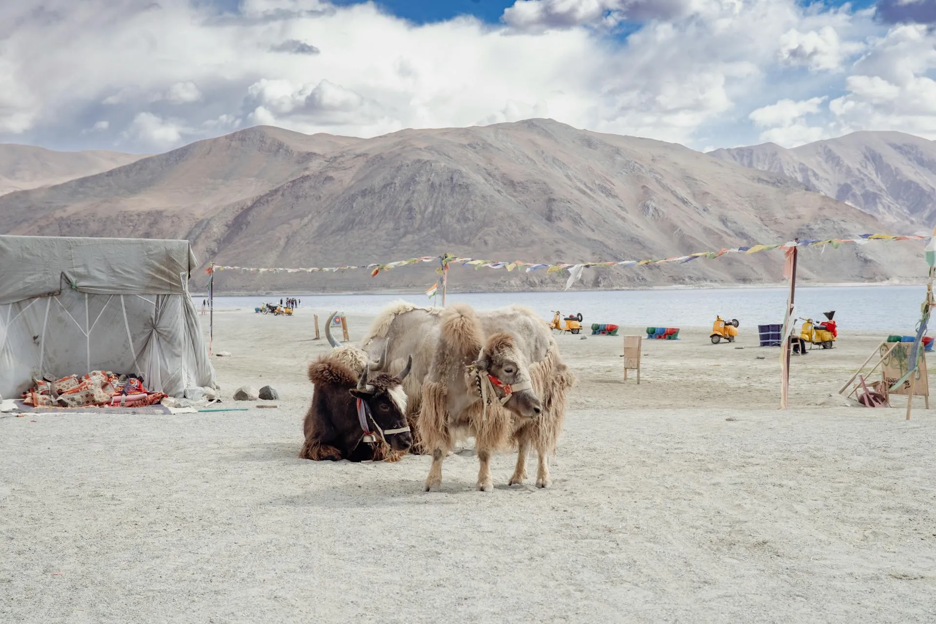 Ladakh