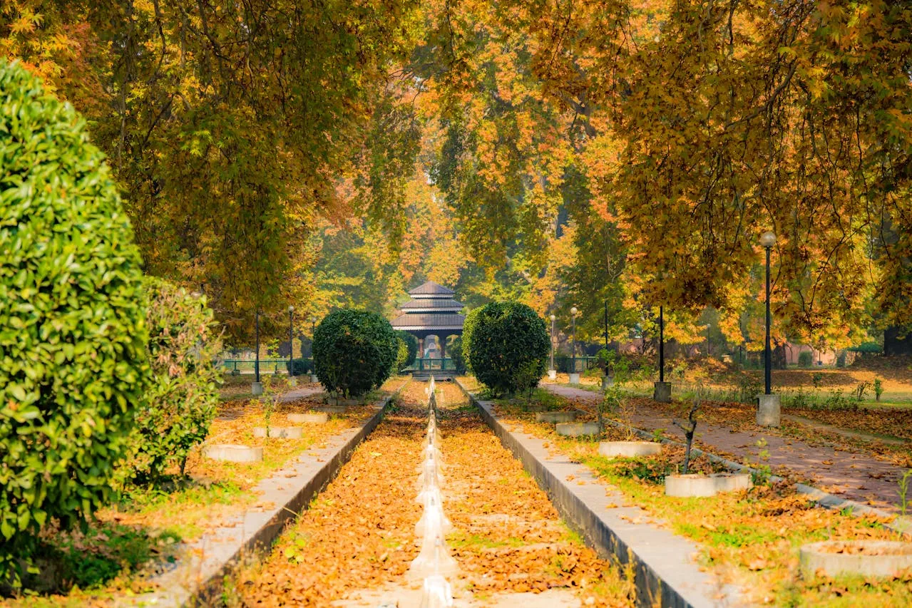 Kashmir Weekend Gateway
